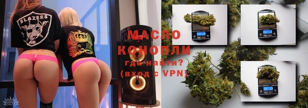 гидра Каменногорск