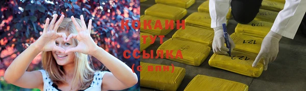винт Карпинск