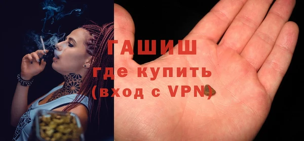 гидра Каменногорск