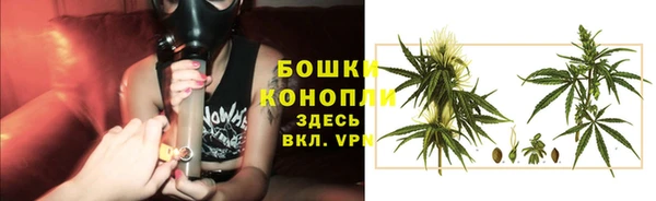 гидра Каменногорск