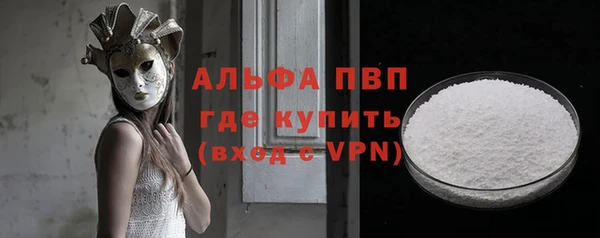 гидра Каменногорск