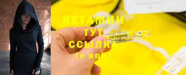 гидра Каменногорск