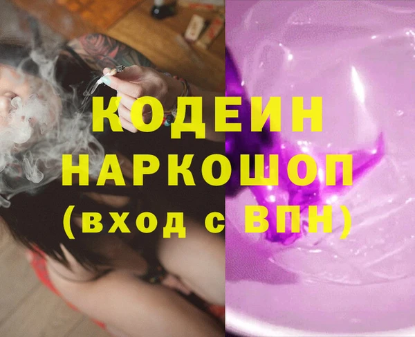 гидра Каменногорск