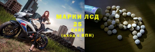 гидра Каменногорск